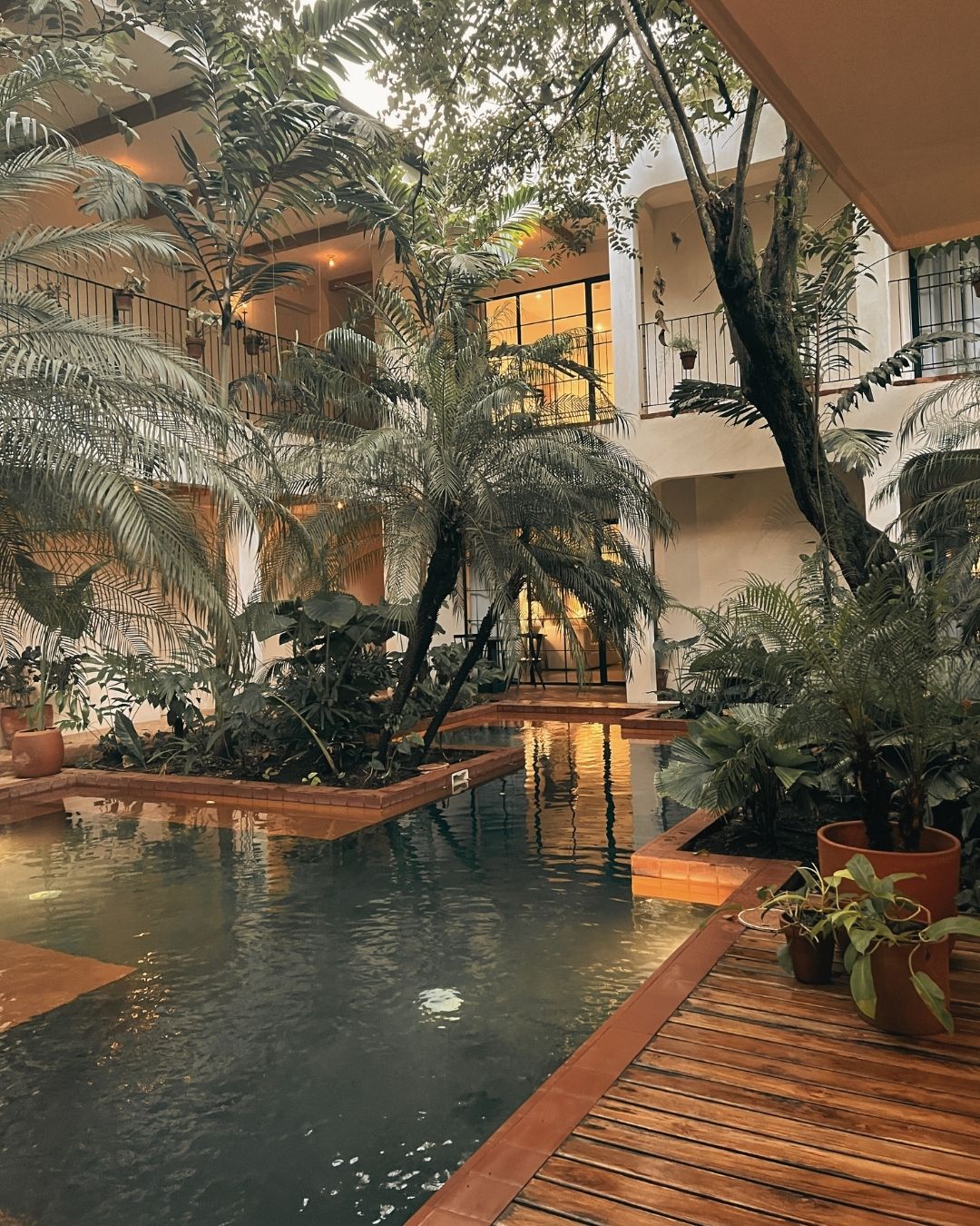 Luxury Client Experience in Nosara, Costa Rica